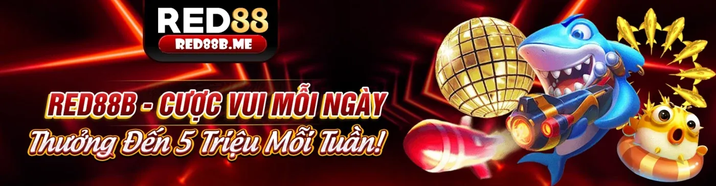 Các loại kèo cược thể thao JSS77